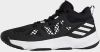 Adidas Pro N3XT 2021 Schoenen Core Black/Cloud White/Silver Metallic Dames online kopen