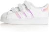 Adidas Originals Sneakers Superstar CF I Miinto 2189FA2AE05A1499893 , Wit, Unisex online kopen